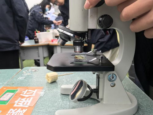 校園科技節(jié)腦力值拉滿，學(xué)生玩嗨了！教學(xué)模型與教具銷售迎來(lái)熱潮
